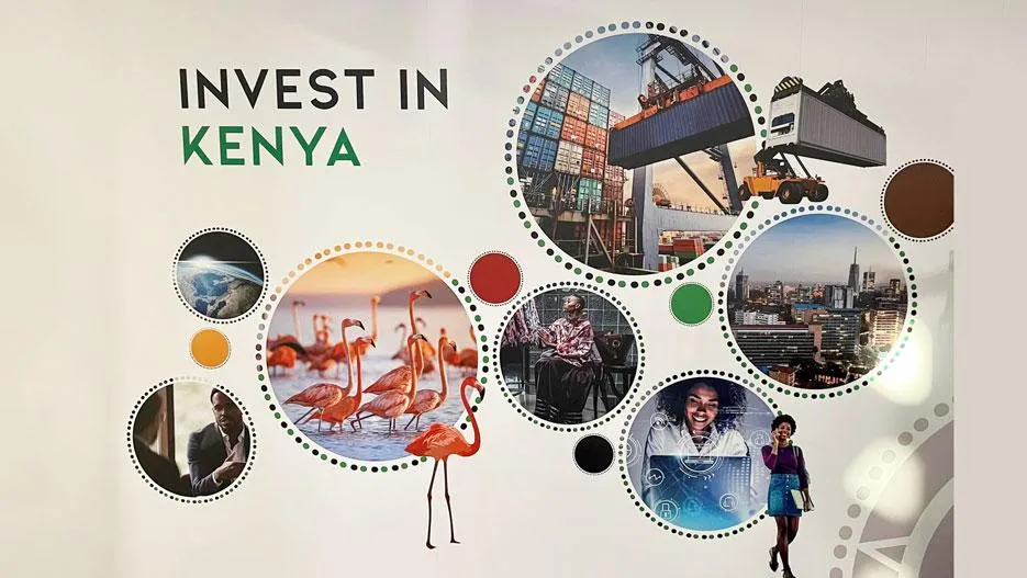 How to Invest in Kenya from Abroad (Simple Guide) cover