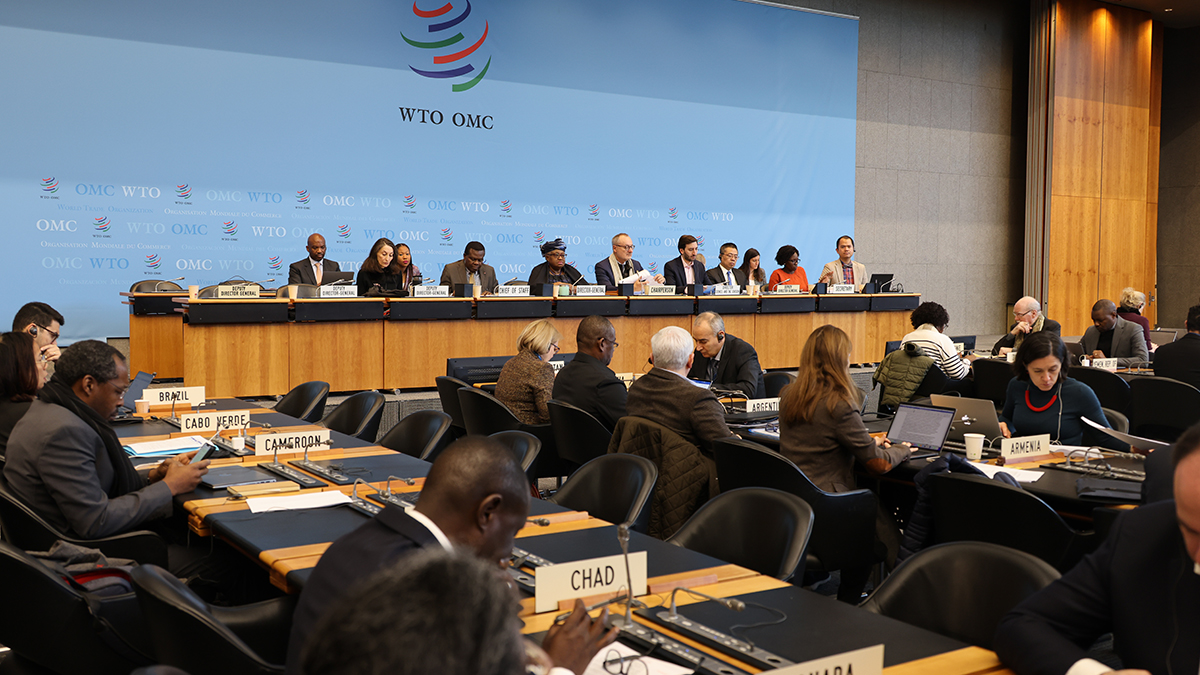 WTO Members Unite to Foster Investment in Developing Nations