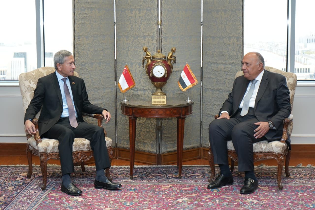 Egypt and Singapore Strengthen Economic Cooperation 