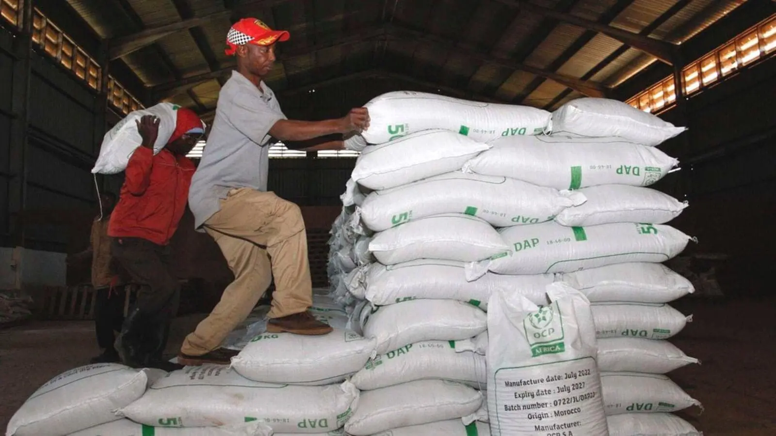 Kenyan MPs Advocate for Government-to-Government Fertilizer Procurement