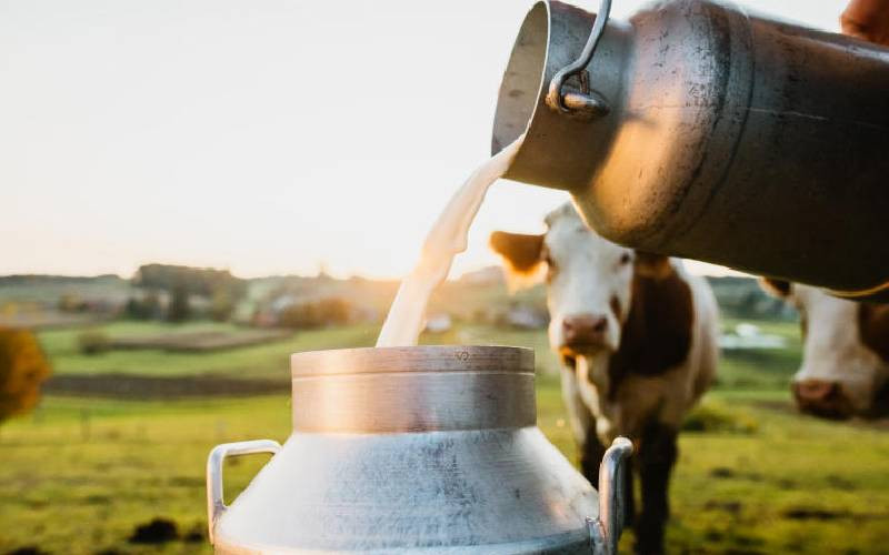 Kenya's Dairy Imports from Uganda Triple to Sh29 Billion