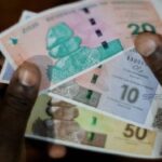 Zimbabwe’s New Currency Faces a Crucial Test: Will ZiG Succeed Where Others Failed?