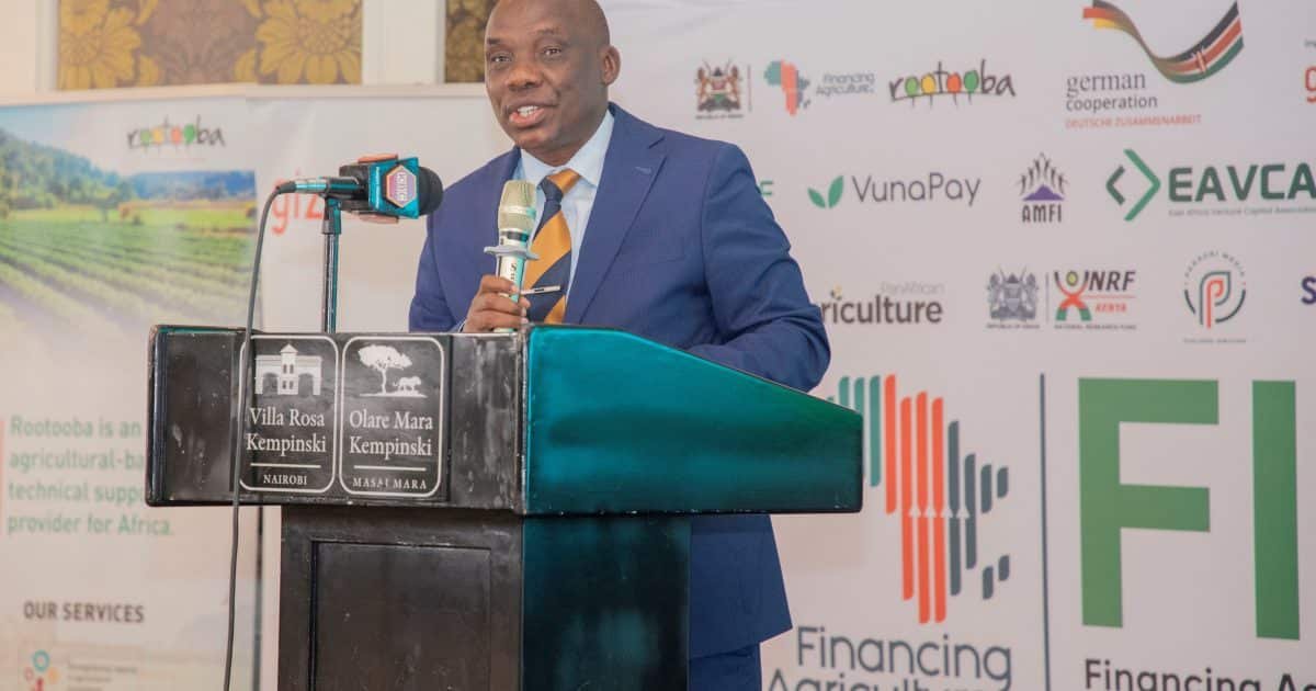 Kenya Leads Africa in 2024 Start-Up Funding Amid Decline