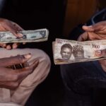 Tinubu's Tax Tightrope: Will Windfall Profits on Forex Save Naira or Spook Investors?