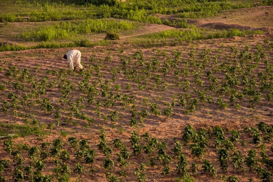 Olam Agri Commits Over $4 Million to Sustainable Social Investment in Nigeria