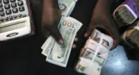 Central Bank of Nigeria Injects $876 Million into Forex Market to Enhance Liquidity: A Strategic Move to Stabilize the Naira and Support Economic Growth