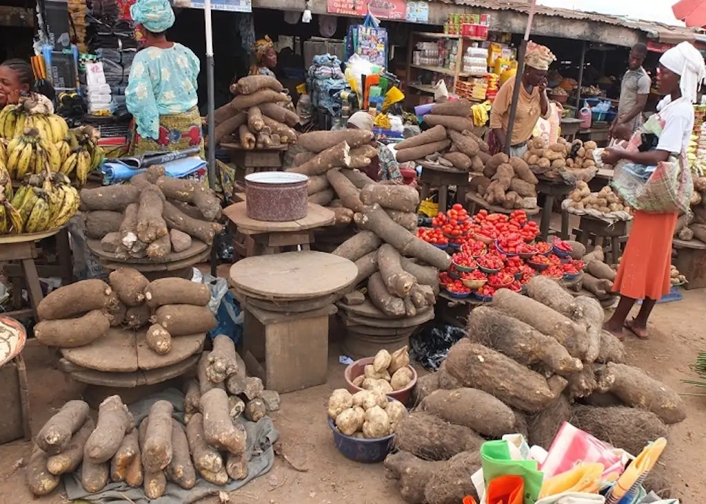 Nigeria’s Inflation Rate Drops to 33.3% in July 2024: Key Economic Implications and Future Outlook