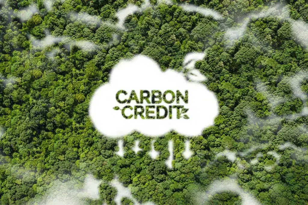 Kenya Industry Enters Key Partnership on Carbon Credits