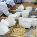 Privamnuts Secures Sh387 Million Funding for Expansion and Sustainability Initiatives