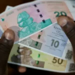 Zimbabwe's New Gold Backed Currency Faces Severe Depreciation Five Months In