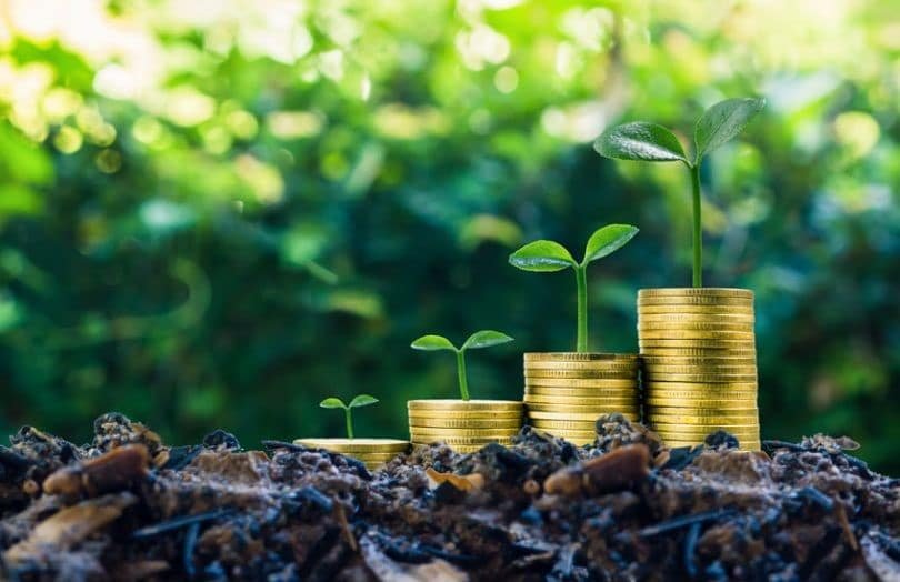 Kenya's KSh 5.1 Billion Green Investment Fund Set to Boost Climate-Friendly Ventures