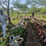 VC Fund Equator Africa Secures Ksh. 646 Million from IFC to Propel Climate Start-Ups