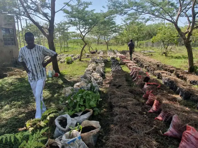 VC Fund Equator Africa Secures Ksh. 646 Million from IFC to Propel Climate Start-Ups