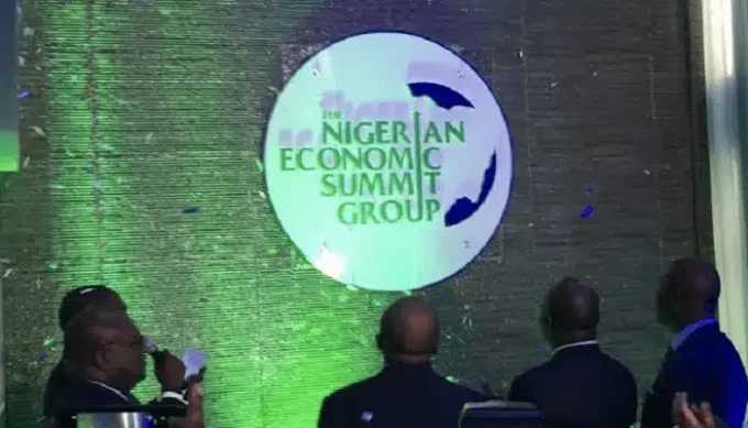 NESG Concludes Summit, Expands Focus to Francophone Africa and Economic Growth