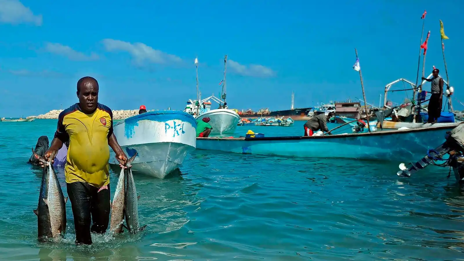 Somalia Looks to Tap $2 Billion Fisheries Economy with New Policy