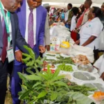 Cereal Farmers to Benefit from Sh9.7bn Climate Funding: A Bold Step to Slash Post-Harvest Losses and Bolster Food Security in Africa