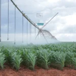Kenya Launches Ambitious 10-Year Irrigation Plan to Boost Food Security and Create 5 Million Jobs
