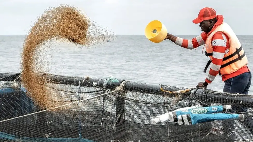 New Fisheries and Aquaculture Bill Set to Streamline Zimbabwe’s Seafood Industry