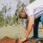 Brazil reforestation startup Mombak raises $30 million in USV-led round