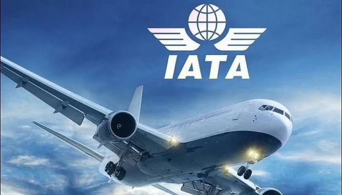 Kenyan Aviation Soars: New IATA Report Highlights Ksh425 Billion Economic Contribution