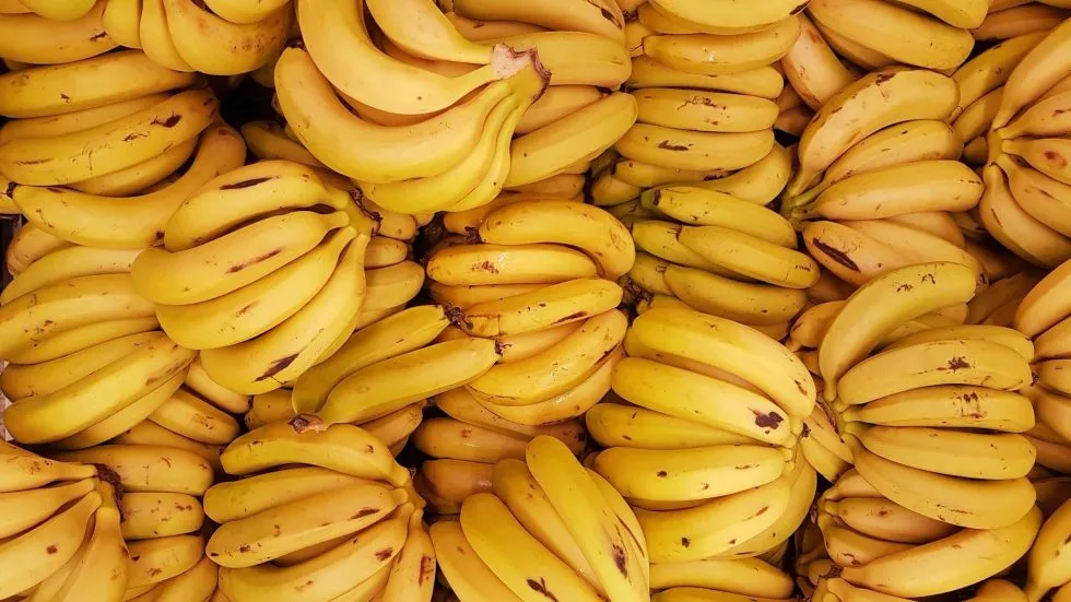 South Africa Affirms No Ban on Tanzanian Banana Imports, Awaits Phytosanitary Approval