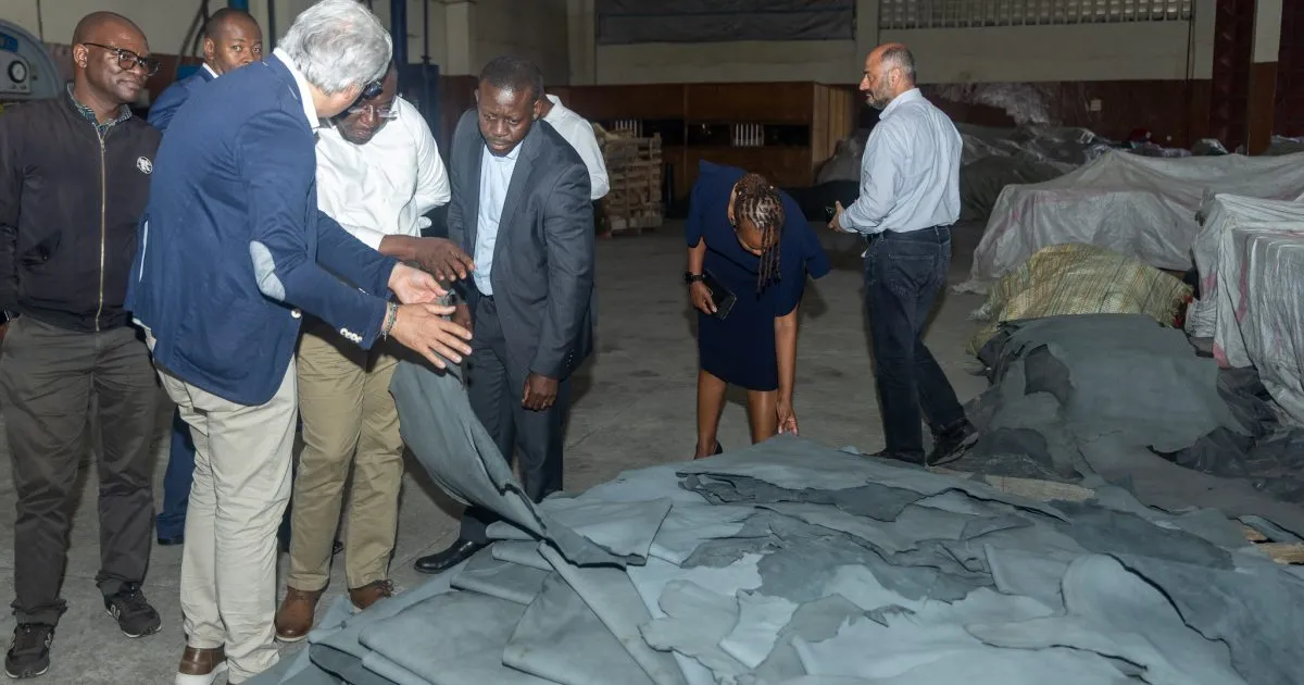 Italy Joins Forces with Kenya to Revolutionize East Africa's Leather Industry