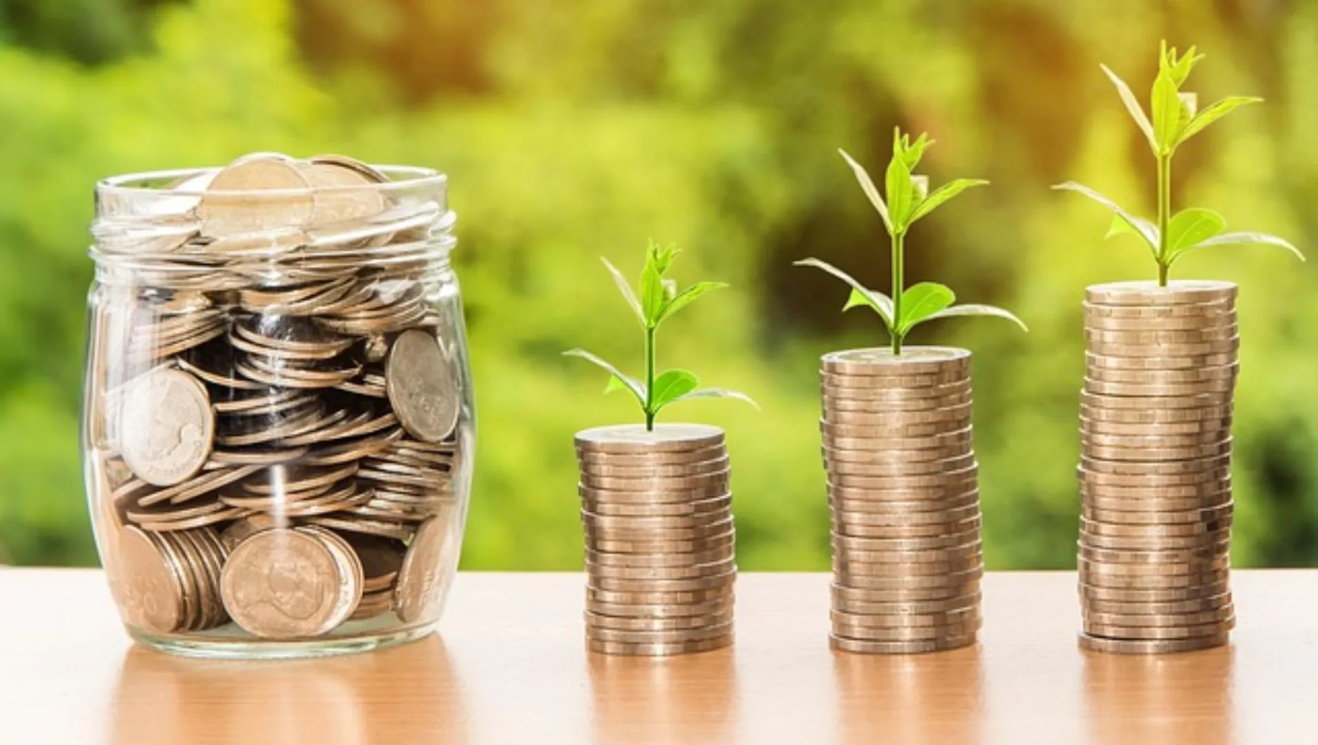 invest in Treasury Bills through my Sacco or Cooperative Society