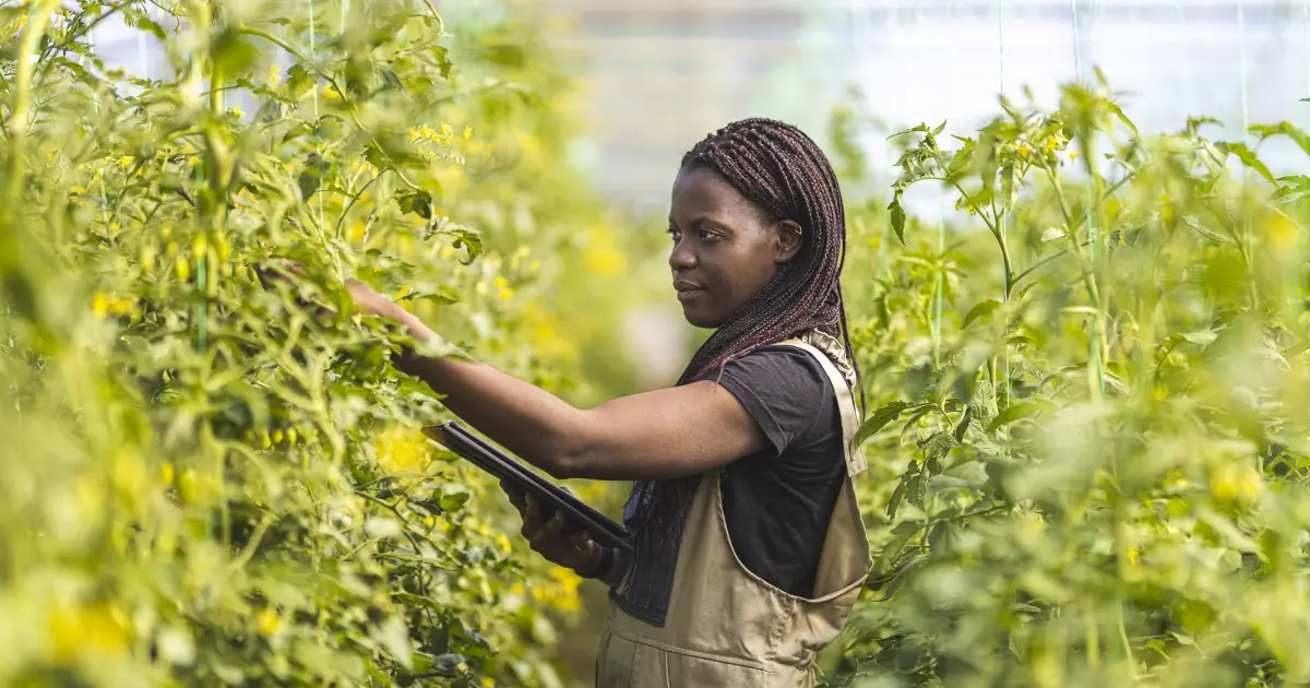 $250 Million Global Fund Targets African Agribusiness Revolution as Kenya, Nigeria and Egypt Set to Benefit from Sh37 Billion Investment Wave