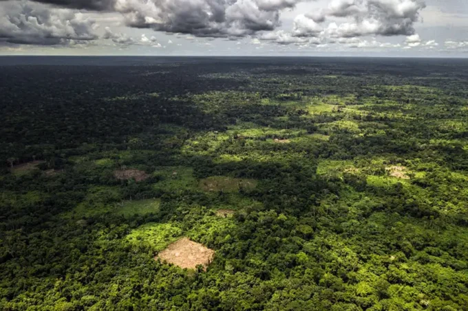 Congo Basin Forests Hold $23 Trillion Potential as World Bank Urges Strategic Investment