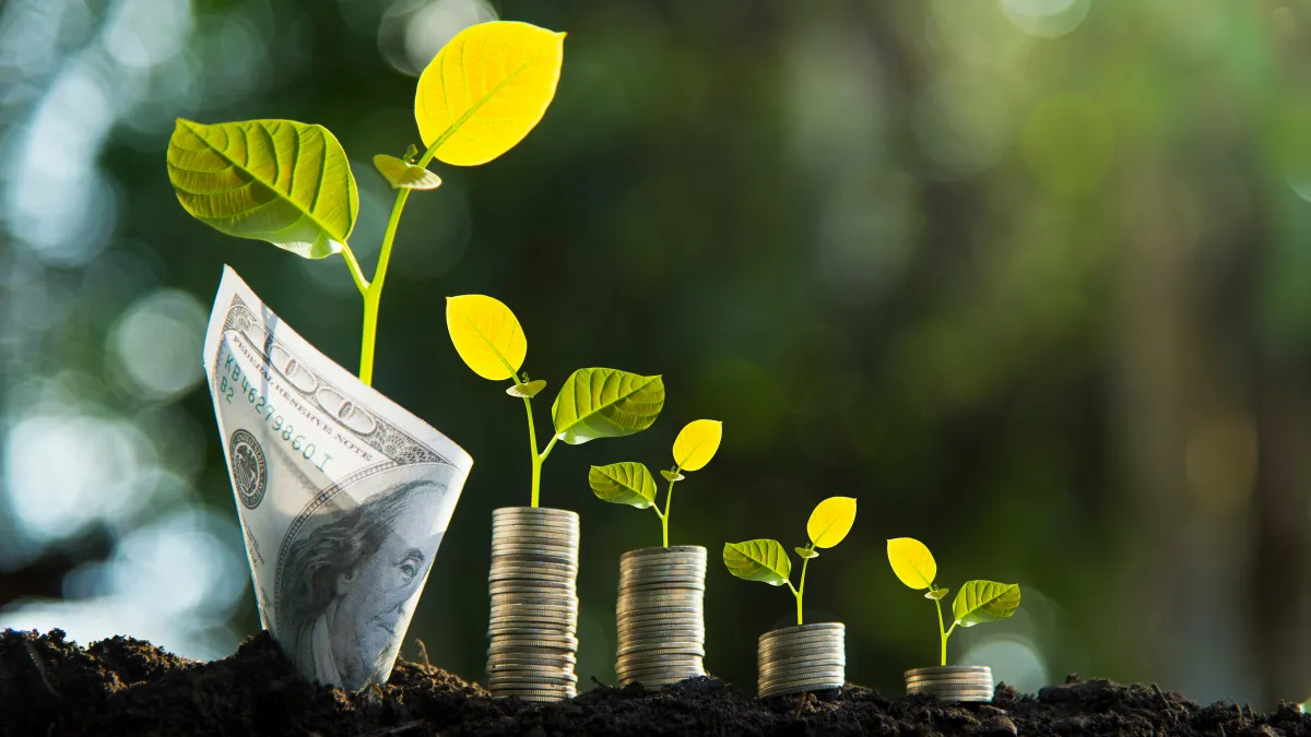 Zanaco Pioneers Green Finance in Southern Africa with Zambia's First $100M Sustainability Bond