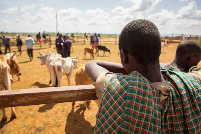 Kenya Introduces Groundbreaking 10-Day Insurance Payout Rule to Protect Farmers from Climate Risks