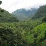 Canadian Businesses Find Strategic Advantage in Climate Initiatives Despite Mounting Economic Pressures