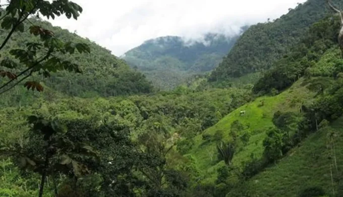 Canadian Businesses Find Strategic Advantage in Climate Initiatives Despite Mounting Economic Pressures