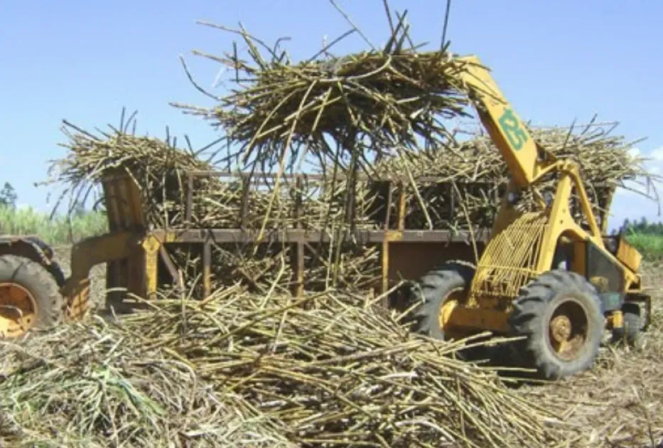 Kenya exits the COMESA sugar safeguard after 24 years