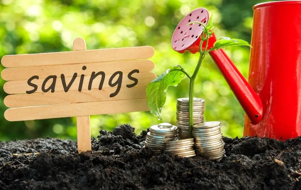 What Is a SACCO and How Does It Work in Kenya? (Simple Guide)