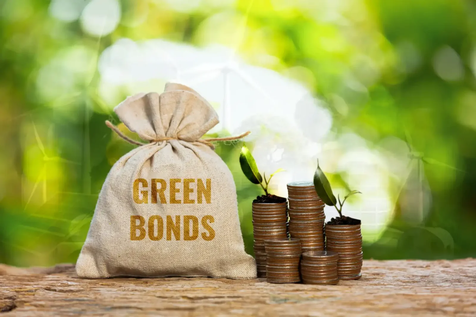 African financial institutions lead the global green bond revolution as the EESG framework reshapes sustainable finance and climate investment strategies