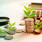 Jamaica implementing a $50 million climate-focused project, featuring sustainable agriculture, renewable energy, and food production visuals, signaling a strategic shift toward enhanced food security.