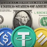 Stablecoin Market Capitalization Hits Record $313 Billion as Investors Seek Liquidity Shelter