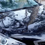 Vortex launches HailSafe parametric insurance as climate risks increase, providing faster and more efficient protection against weather-related damages