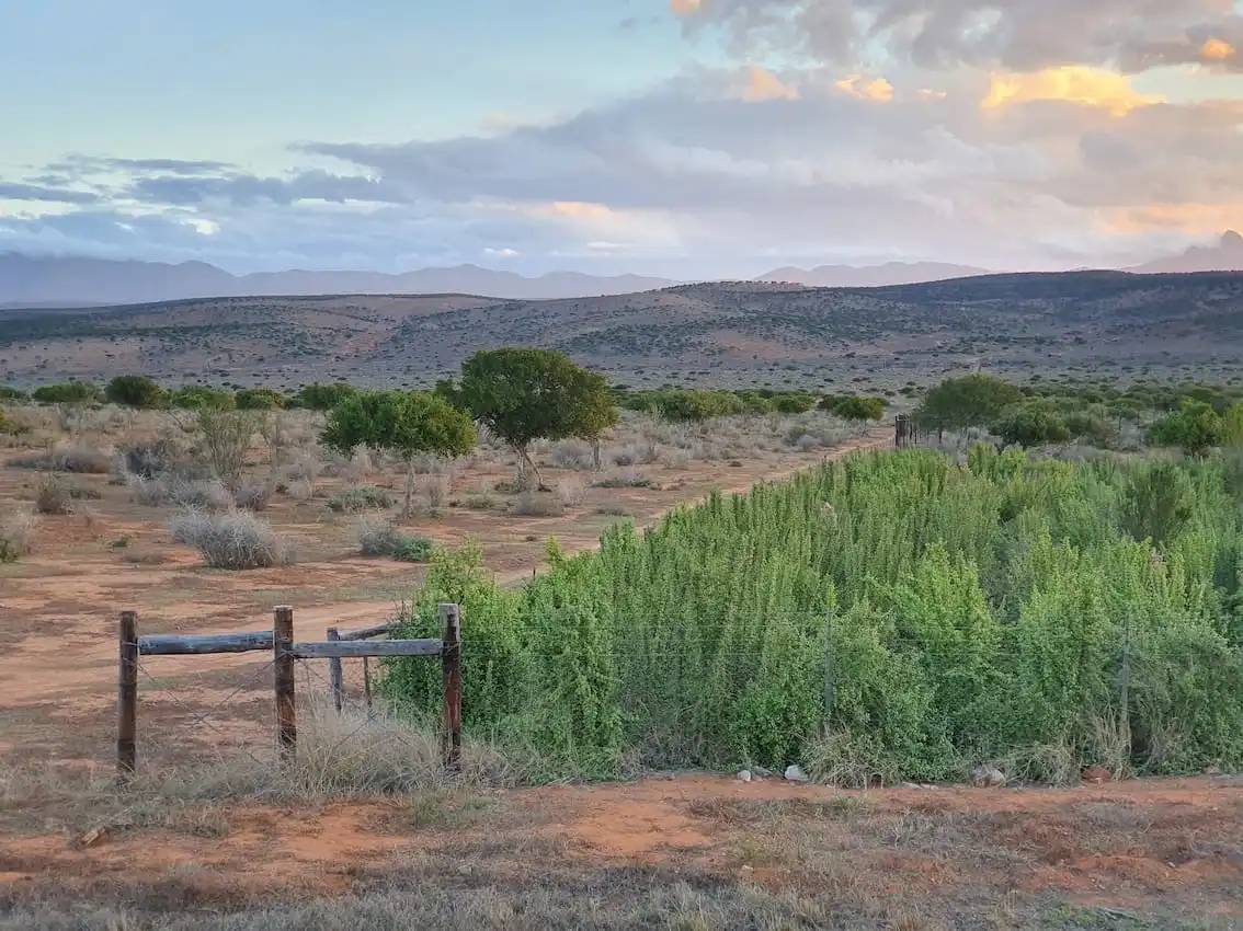 91 million dollar deal scales Africa’s largest nature based carbon project