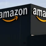 Amazon commits 30 million dollars to rice farming carbon credits in India expanding climate finance into agriculture