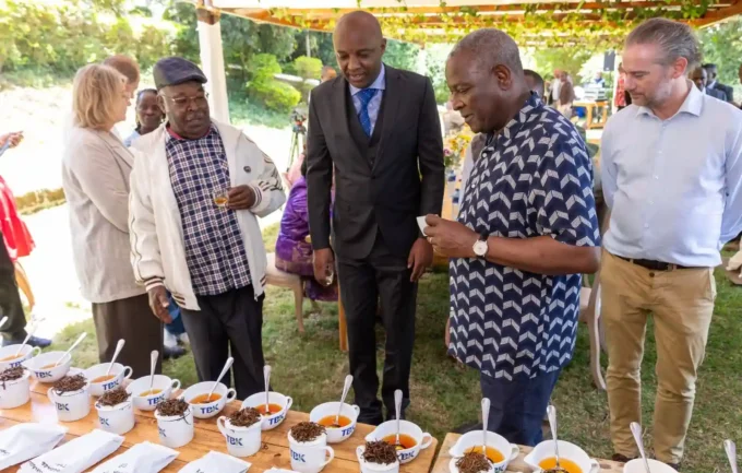 Kenya and France collaborating in the tea sector, with tea plantations, processing facilities, and export visuals, highlighting initiatives to unlock massive economic value from Kenyan tea.