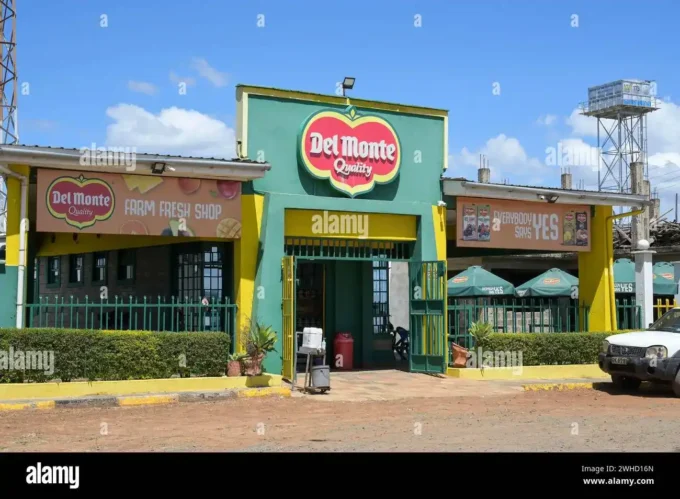 Del Monte Kenya reports an $800 million GDP impact over 20 years from its operations in Kenya