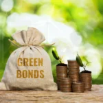 Nigeria green bonds highlighting Africa’s growing push toward climate finance initiatives
