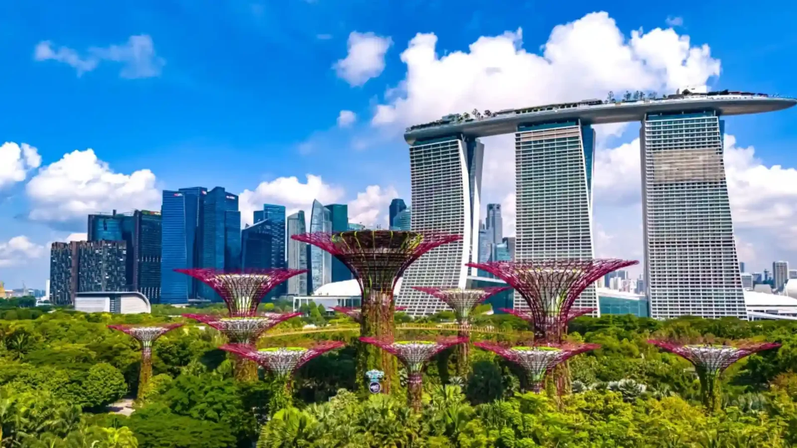 Singapore and World Bank launch carbon markets program to support climate finance and emissions trading