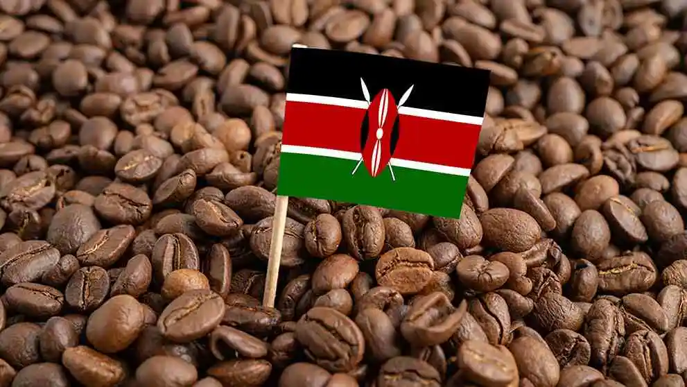 Kenya’s exports to Germany increase by 73 percent as trade relations deepen, boosting export earnings, market access, and economic cooperation between the two countries