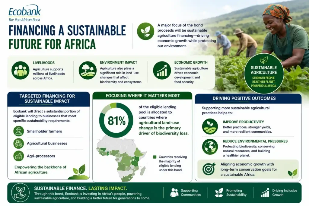 How Ecobank’s Nature Bond supports sustainable agriculture financing across Africa by directing funding to smallholder farmers, agricultural businesses, and agri-processors, with 81% of eligible lending focused on countries where agricultural land-use change is a major driver of biodiversity loss, aiming to improve productivity, support livelihoods, reduce environmental pressures, and align economic growth with long-term conservation goals.