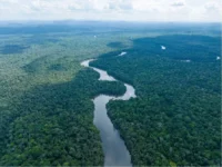 Guyana earns 353 million US dollars from carbon credit sales to fund climate action, forest conservation, and sustainable development