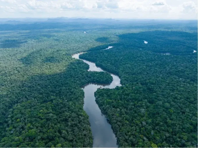 Guyana earns 353 million US dollars from carbon credit sales to fund climate action, forest conservation, and sustainable development