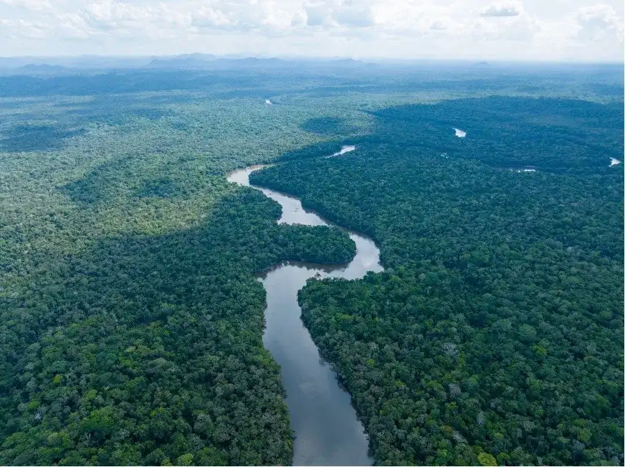 Guyana earns 353 million US dollars from carbon credit sales to fund climate action, forest conservation, and sustainable development